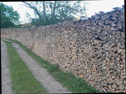 Bild 4:Brennholz