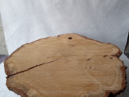 Baumscheibe XL