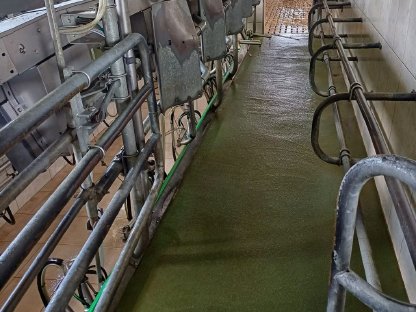 Biete Doppel 5er Fischgrätenmelkstand GEA