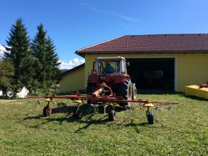 Bild 3:Pöttinger Hit 58 Kreiselheuer Heuwender (Verschleißteile neu)