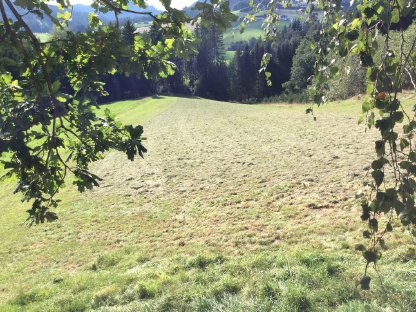 Bild 8:Pöttinger Hit 58 Kreiselheuer Heuwender (Verschleißteile neu)