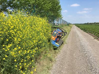 Bild 4:MULCHARBEITEN