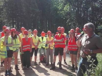 Bild 2:RENT A GRADER: Anhänger Grader von THOMAS HOLZER