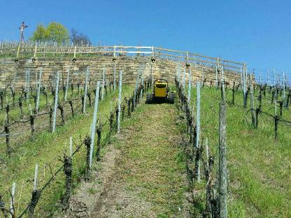 Bild 2:Mähen, mulchen, Landschaftspflege