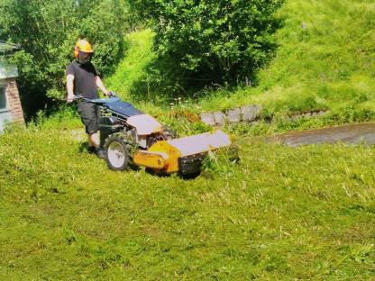 Bild 3:Dienstleistungen