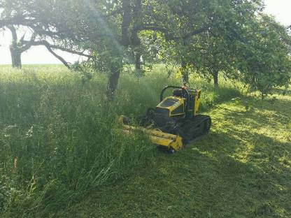 Bild 3:Mähen, mulchen, Landschaftspflege