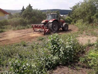 Bild 4:Spezialbaumfällung ,Holzschlägerung u.Holzbringung