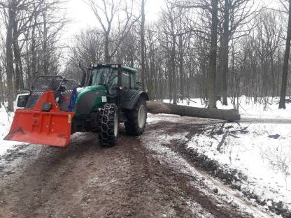 Bild 2:Spezialbaumfällung ,Holzschlägerung u.Holzbringung