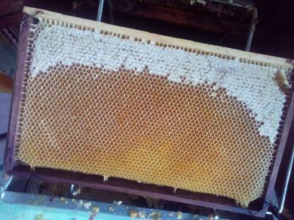 Bild 4:Honig 1/2kg 1kg 10kg