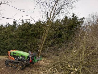 Bild 3:Hangmähen, Dornen- / Strauchanflug mulchen mit der Mähraupe