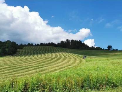 Bild 3:Baggerarbeiten und Vermietung, Transporte, Mulcharbeiten