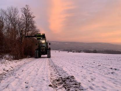 Bild 2:Windschutzgürtel/Feldrandpflege
