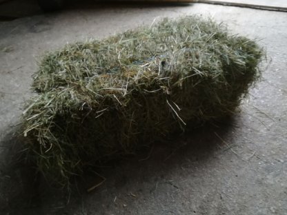 Heu in Kleinballen