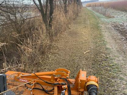 Bild 3:Windschutzgürtel/Feldrandpflege