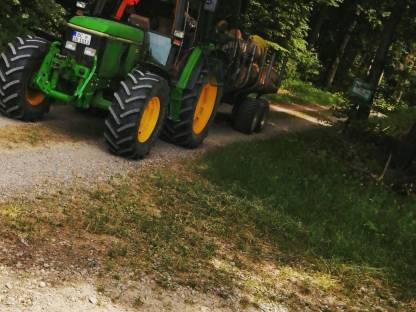 Bild 2:Sturmholz / Käferholz