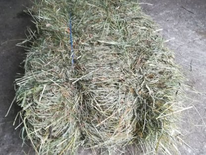 Bild 2:Heu in Kleinballen