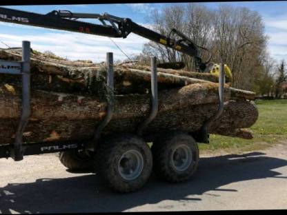 Bild 3:Sturmholz / Käferholz