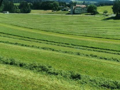 Bild 5:Lohnschwaden mit 4 Kreiselschwader