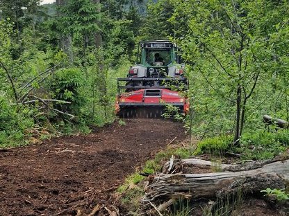Bild 3:Forstmulchen Rodungsarbeiten Trassenfreihaltung