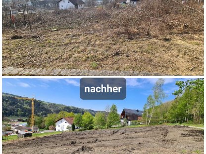 Bild 4:Forstmulchen Rodungsarbeiten Trassenfreihaltung