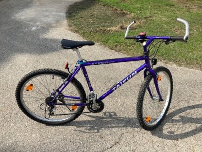 Bild 2:Mountainbike Taifun Spider