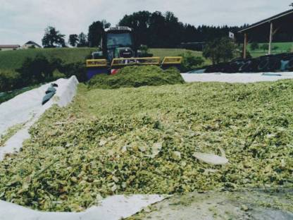 Bild 7:Siloverdichten