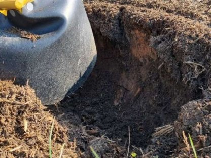 Bild 3:Wurzelstockfräsen