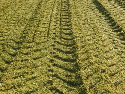 Bild 4:Siloverdichten