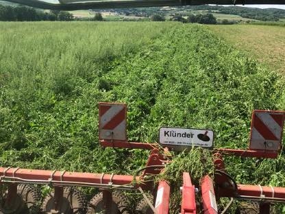 Bild 2:Klünder Unkrautzupfer Verleih