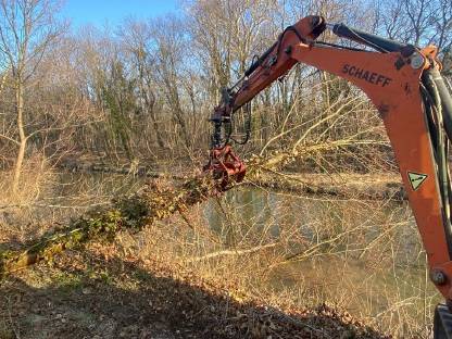 Bild 5:Holzschlägerung & Forstarbeiten