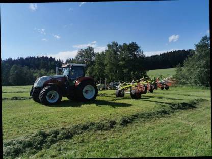 Bild 3:Lohnschwaden mit 4 Kreiselschwader
