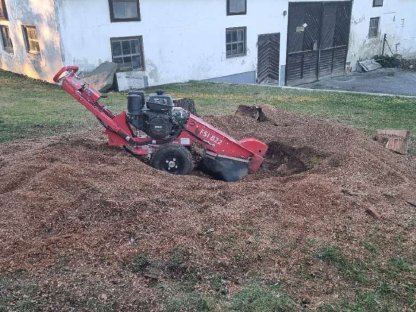 Bild 5:Wurzelstockfräsen