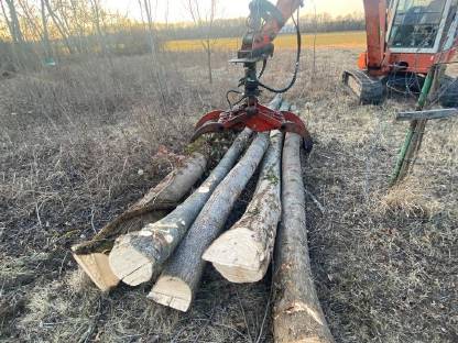 Bild 7:Holzschlägerung & Forstarbeiten