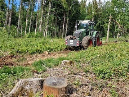 Bild 6:Forstmulchen Rodungsarbeiten Trassenfreihaltung