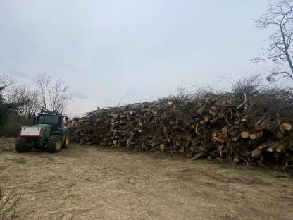 Bild 3:Holzschlägerung & Forstarbeiten