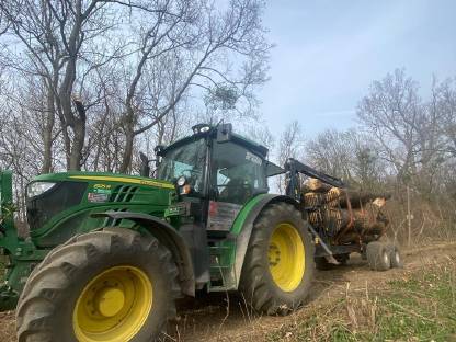 Bild 6:Holzschlägerung & Forstarbeiten
