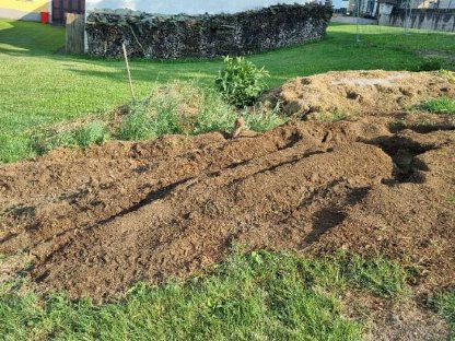 Bild 4:Wurzelstockfräsen