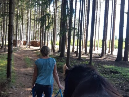 Bild 3:Einstellplätze frei (Bezirk Zwettl) bei Ottenschlag