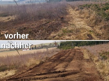 Bild 7:Forstmulchen Rodungsarbeiten Trassenfreihaltung