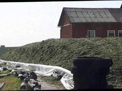 Bild 6:Siloverdichten