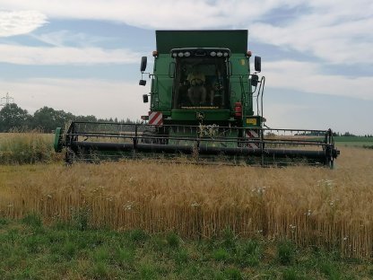 Bild 2:Getreide- und Alternativdrusch, Stroh pressen