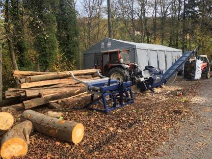 Bild 4:Holzschlägerung und mehr