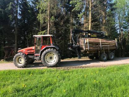 Bild 5:Holzschlägerung und mehr