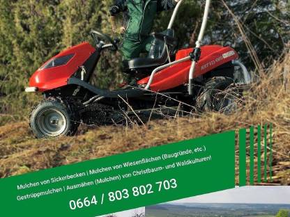 Bild 4:Mulchen von Steilhängen uvm.