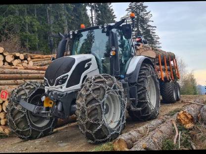 Bild 3:Holzschlägerung und -bringung