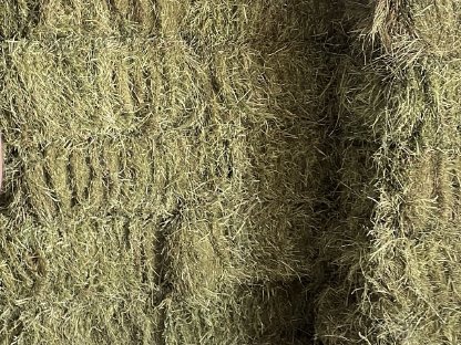 Bild 2:Heu