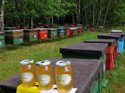 Bild 2:1.400 kg Bio-Akazienhonig 2023 direkt vom Imker