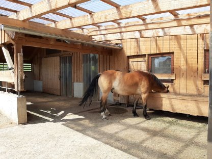 Bild 2:Einstellplatz am Bio-Pferdehof Fossenbauer frei