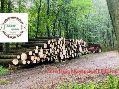 Bild 3:Holzschlägerung und mehr