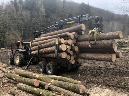 Bild 8:Holzschlägerung und mehr